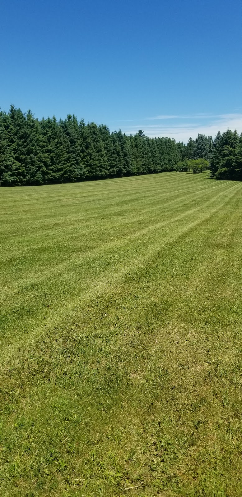 W.Van Dongen Landscaping Ltd. | 3071 King St, Inglewood, ON L7C 0S9, Canada | Phone: (905) 838-3111