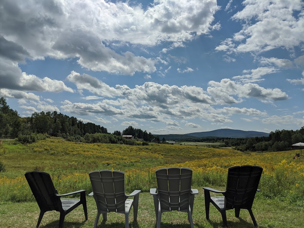 Miels dAnicet | 111 Rang 2 de Gravel, Ferme-Neuve, QC J0W 1C0, Canada | Phone: (819) 587-4825