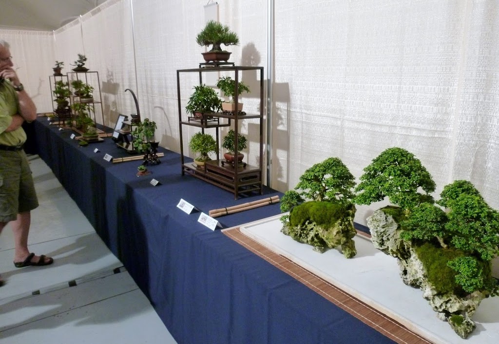 Bonsai and Penjing Society of Montreal | 4101 Rue Sherbrooke E, Montréal, QC H1X 2B2, Canada | Phone: (514) 872-1782