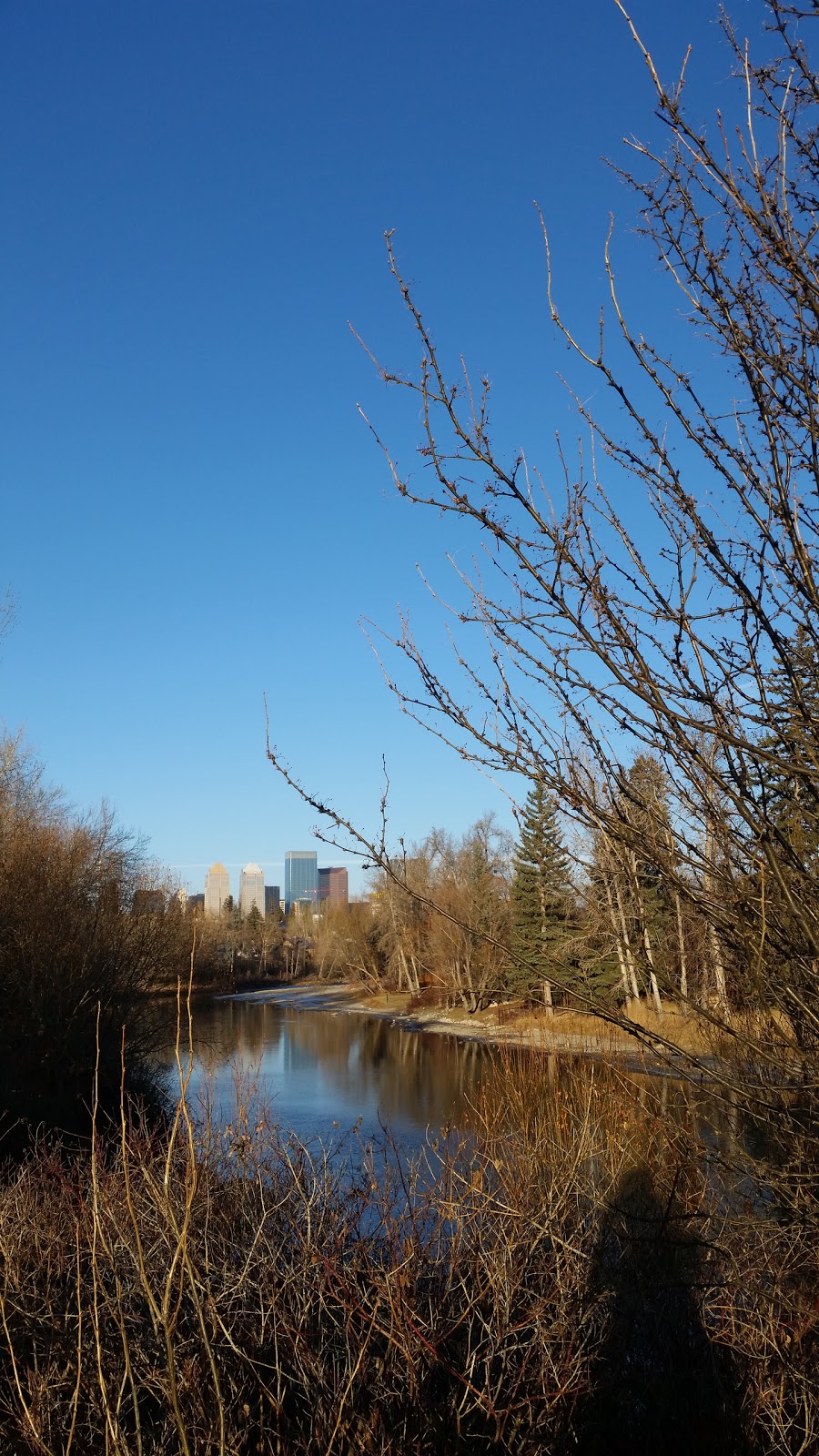 Rideau Park | 600-708 Rideau Rd SW, Calgary, AB T2S, Canada | Phone: (403) 268-2489
