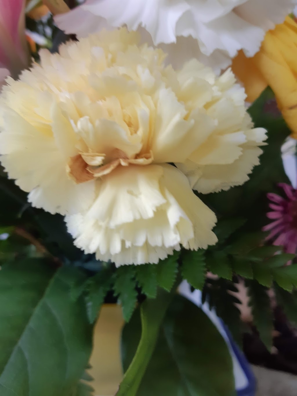 Broadmead Flower Shop | 2672 Shelbourne St, Victoria, BC V8R 4L9, Canada | Phone: (250) 658-4846