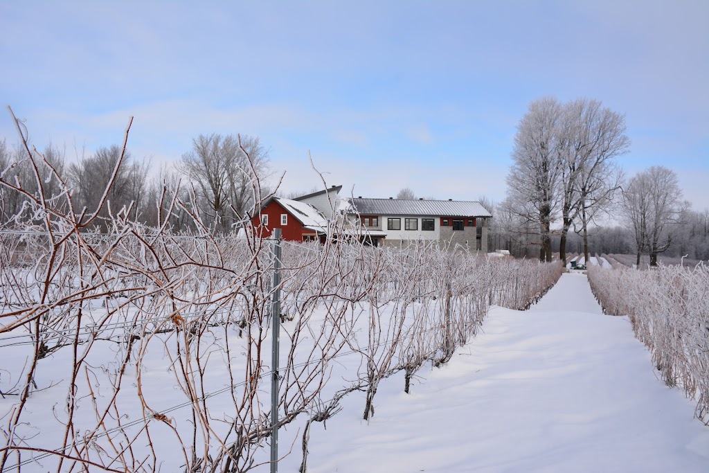 Vignoble 1292 | 1292 Rue Principale, Saint-Blaise-sur-Richelieu, QC J0J 1W0, Canada | Phone: (514) 447-7485