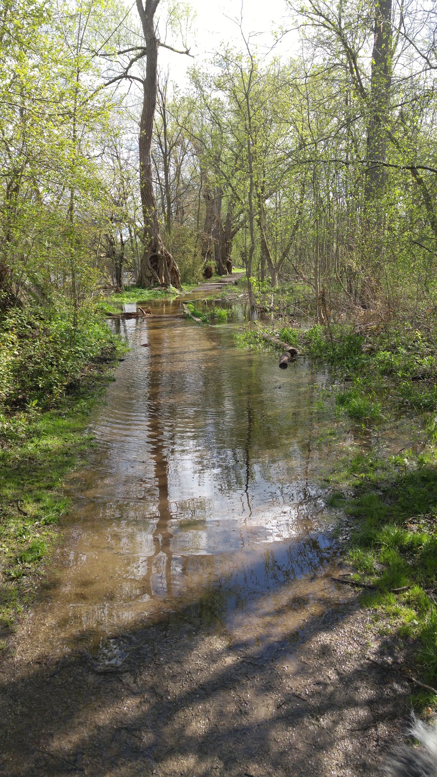 Chilligo Conservation Area | Cambridge, ON N3C 1C5, Canada | Phone: (519) 621-2761