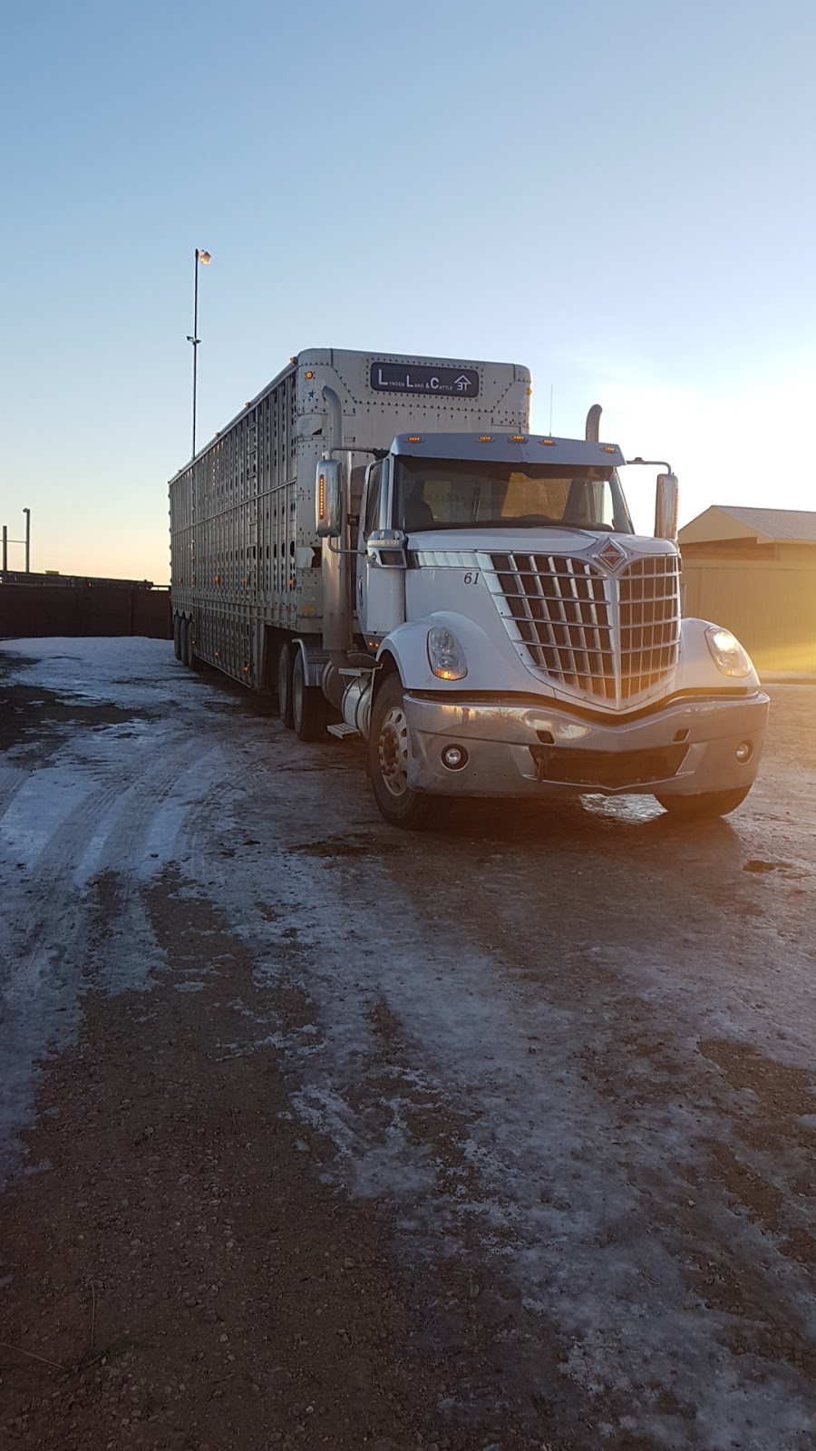 Lynden Land & Cattle | Township Rd 304, Linden, AB T0M 1J0, Canada | Phone: (403) 333-5111