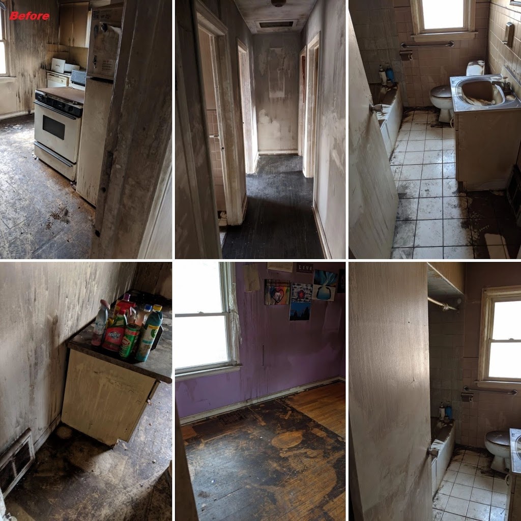 All Clear Environmental | 193 Oldfield Dr, Kitchener, ON N2A 3S9, Canada | Phone: (519) 577-0013