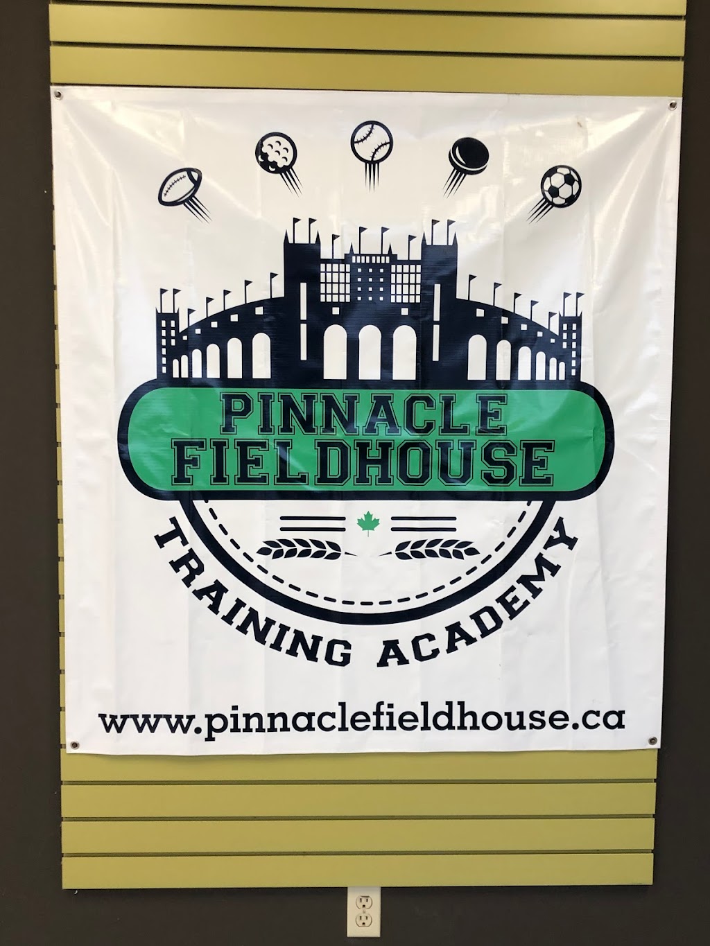 Pinnacle Fieldhouse Training Academy | 533 Romeo St, Stratford, ON N5A 4V3, Canada | Phone: (519) 801-5667