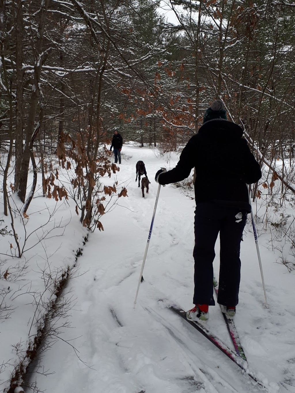 Old Stone Road Trail | 1576-, 1626 N Muldrew Lake Rd, Gravenhurst, ON P1P 1R2, Canada