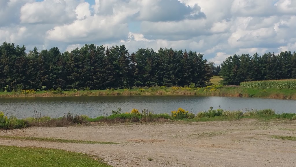 Copetown Woods Golf Club | 1430 Concession 2 Rd W, Copetown, ON L0R 1J0, Canada | Phone: (905) 627-4653
