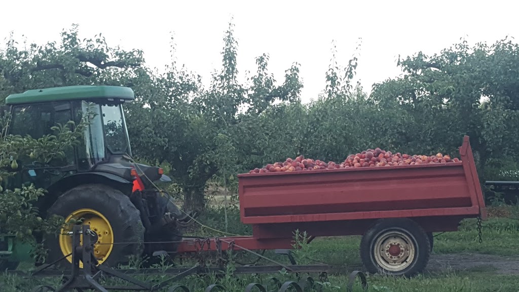 Overholt Orchards Inc. | 1629 Gregory Rd, St. Catharines, ON L2R 6P9, Canada | Phone: (905) 682-7056