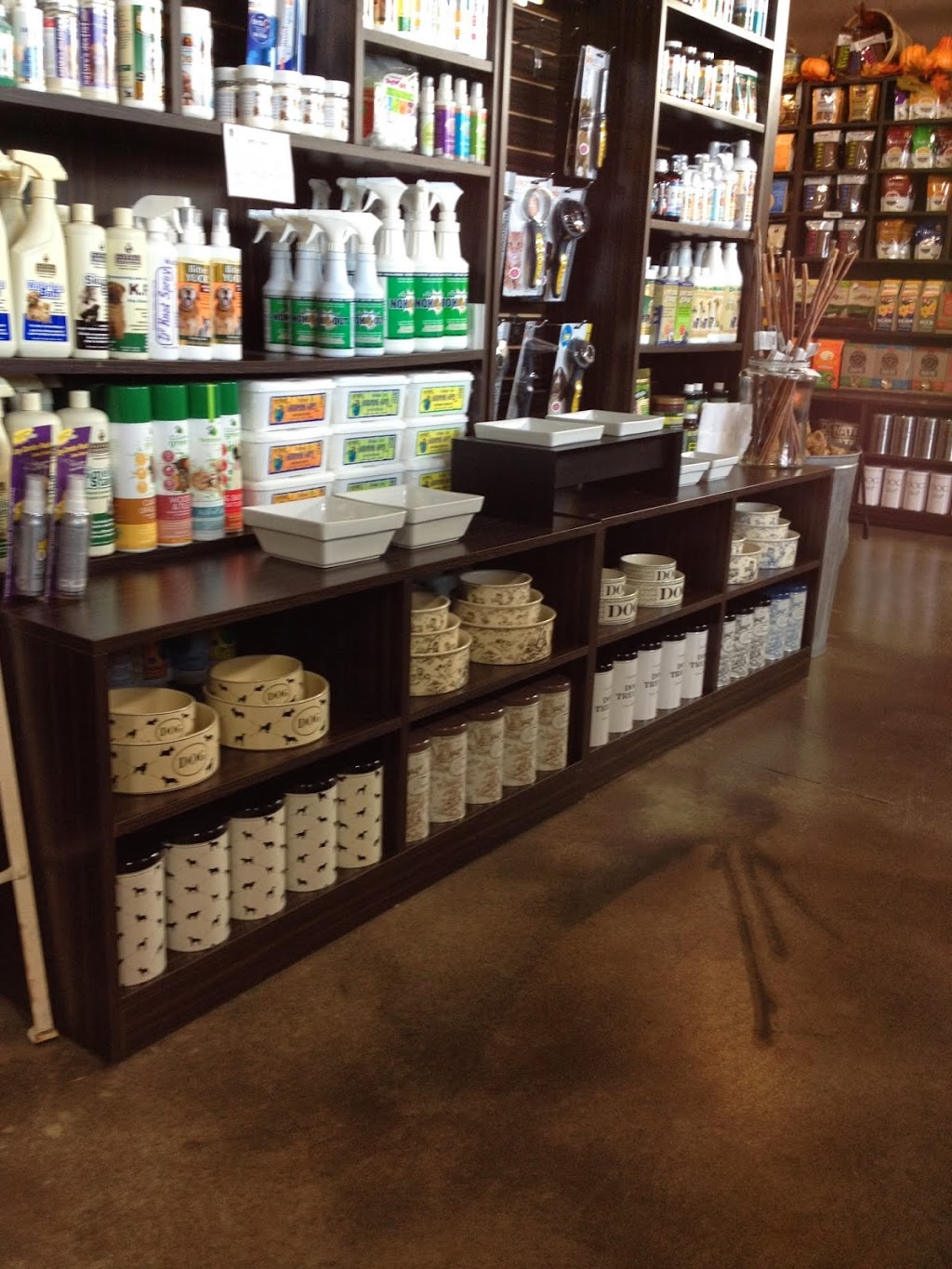 Our Dog & Company | 129 Pedersen Dr, Aurora, ON L4G 0E3, Canada | Phone: (905) 713-3489