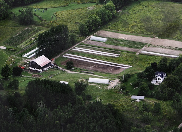 Fiddle Foot Farm | point of interest | 796530 3rd Line E, Mulmur, ON L9V 0H4, Canada | 5199253225 OR +1 519-925-3225