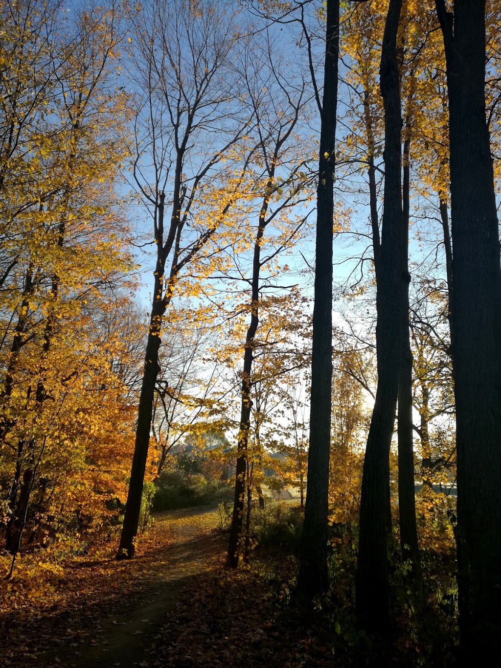 Jesse Davidson Park | 4V3, 731 Viscount Rd, London, ON N6J 4V3, Canada | Phone: (519) 661-5575