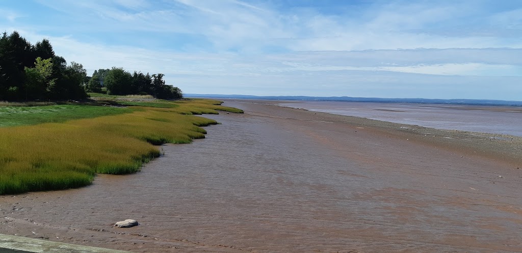 Shubenacadie River Runners | 8681 NS-215, Maitland, NS B0N 1T0, Canada | Phone: (902) 261-2770