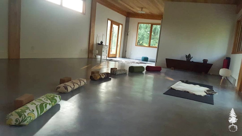the back forty | 21999 96 Ave, Langley City, BC V1M 3T8, Canada | Phone: (604) 880-3172