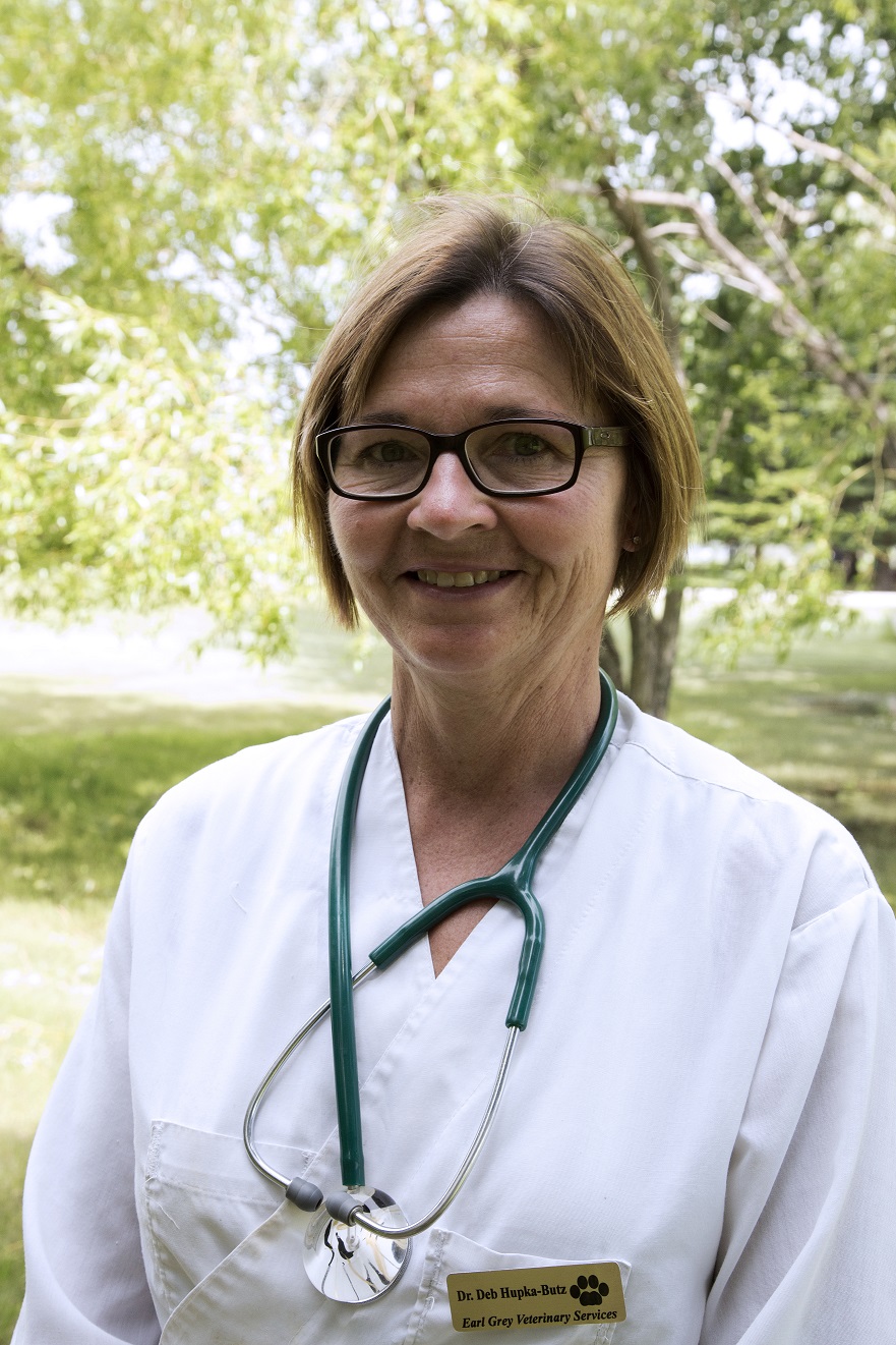 Earl Grey Veterinary Services | Assiniboia Ave, Earl Grey, SK S0G 1J0, Canada | Phone: (306) 939-2264