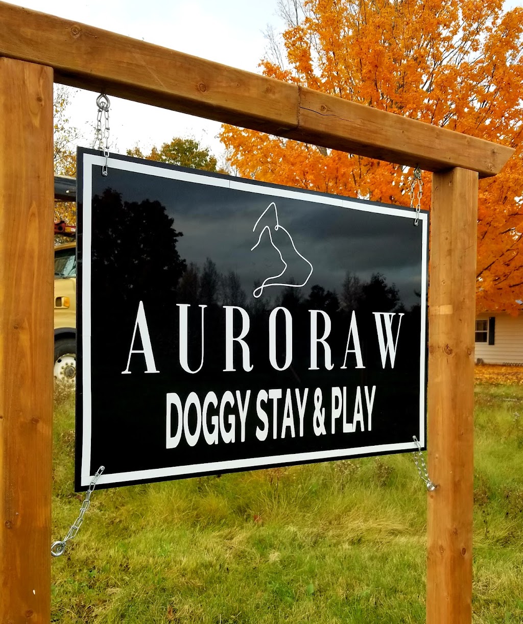 Auroraw Doggy Stay and Play Dog Boarding + Daycare | 8131 NB-126, Harcourt, NB E4T 2Z7, Canada | Phone: (519) 721-3991