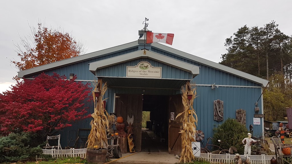 Ridges of the Moraine Stables | 1216 Concession Rd 4, Loretto, ON L0G 1L0, Canada | Phone: (519) 941-4674