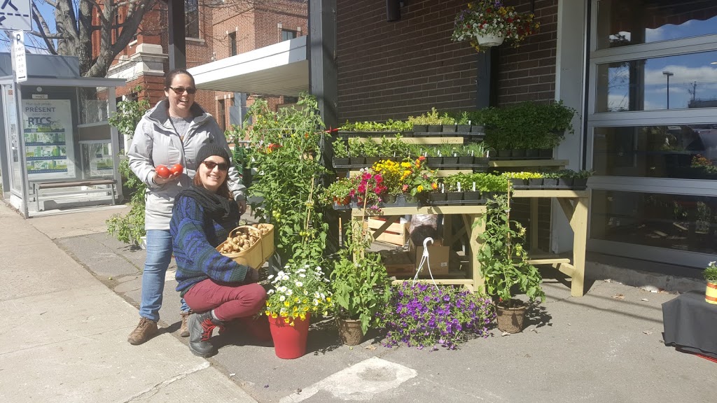 Jardins la brouette | 168 Rang du Chenal Tardif, Pierreville, QC J0G 1J0, Canada | Phone: (819) 816-8667