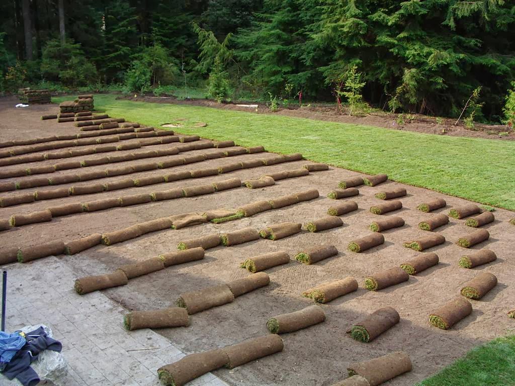 BC Instant Lawns and Landscapes | 3865 72 St, Delta, BC V4K 3N2, Canada | Phone: (604) 454-4954