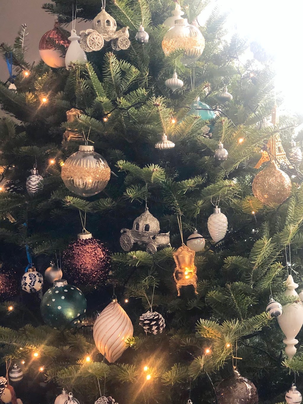 Kellys Christmas Tree Farm | 4013 Fort Augustus Rd, Fort Augustus, PE C1A 2Z3, Canada | Phone: (902) 394-2215
