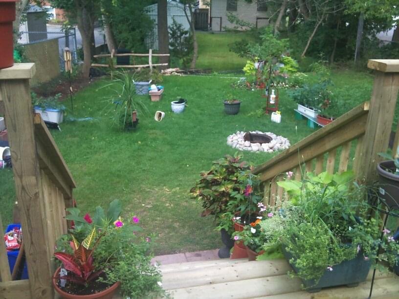 Conservatree | 22269, Adelaide St N, Ilderton, ON N0M 2A0, Canada | Phone: (519) 670-0882