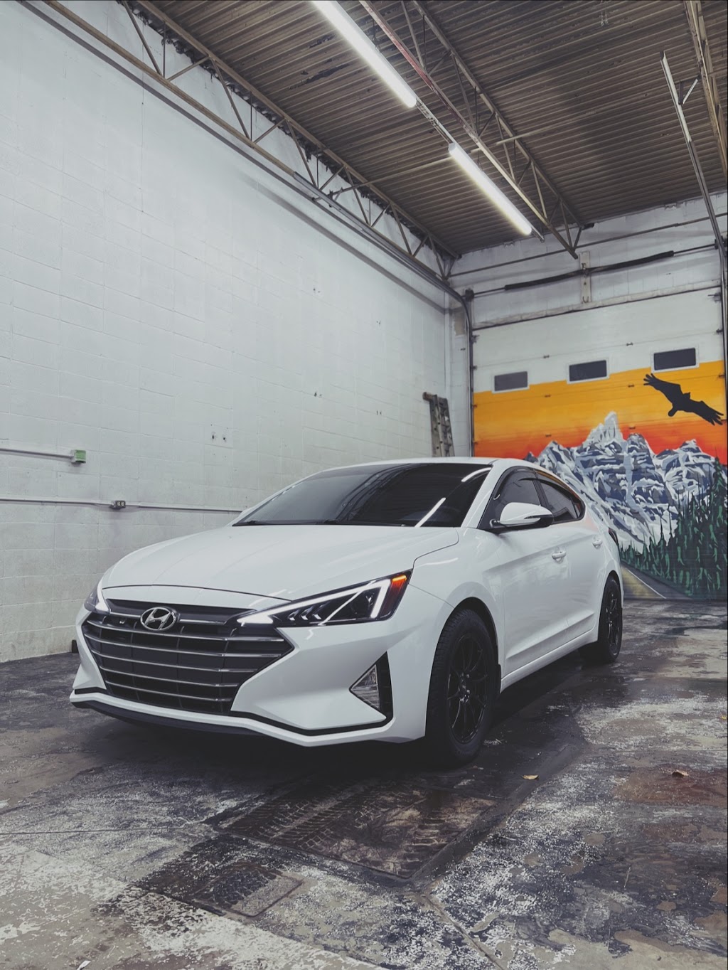 Dignity Detailing & Auto Care | 374 Magnolia Square SE, Calgary, AB T3M 2W4, Canada | Phone: (403) 498-8882