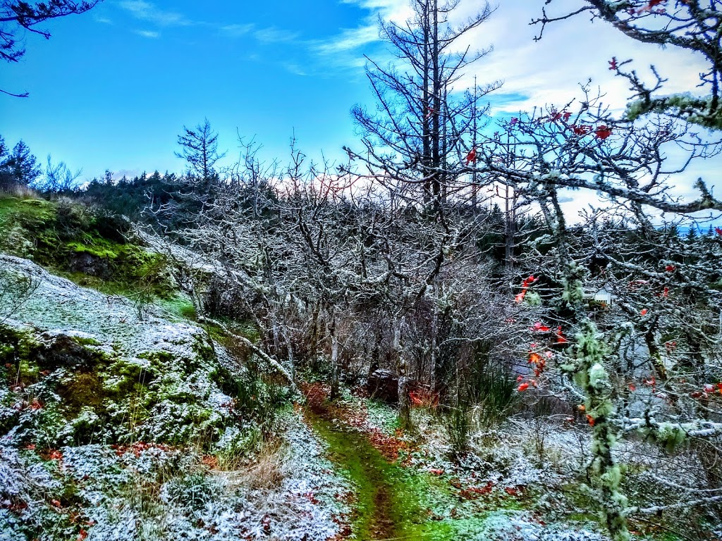 Bramble Ct. View Point | 4687 Bramble Ct, Victoria, BC V8Y 2W6, Canada