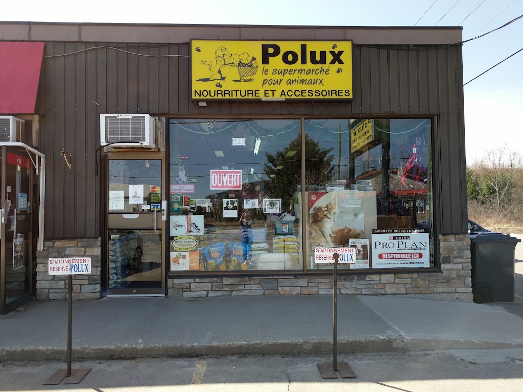 Polux | 413 Rue de St Jovite, Mont-Tremblant, QC J8E 0R6, Canada | Phone: (819) 425-7180