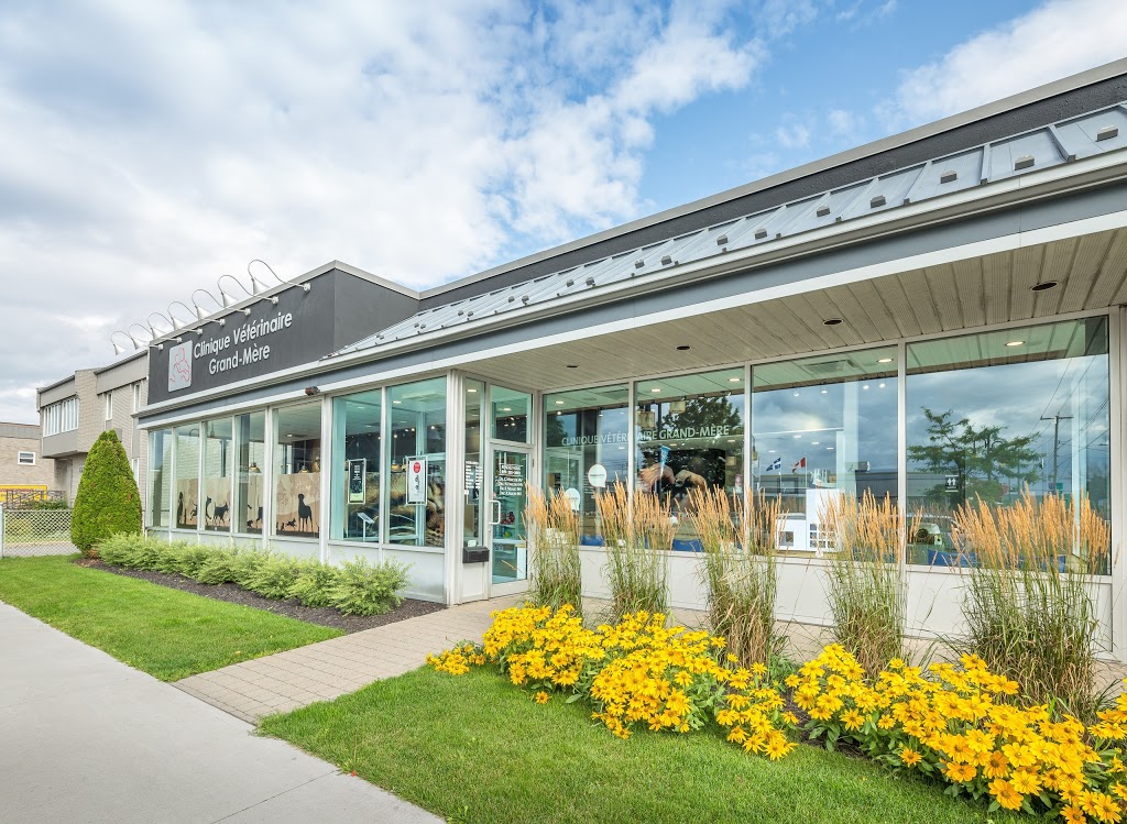 Clinique Vétérinaire Passionimo Grand-Mère | 799 Avenue de Grand-Mère, Grand-Mère, QC G9T 2H8, Canada | Phone: (819) 533-3663