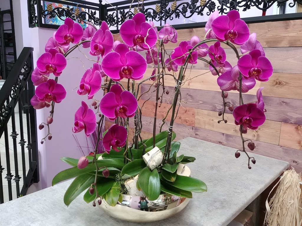 Vanousha Flora | 4364 W 10th Ave, Vancouver, BC V6R 2H7, Canada | Phone: (604) 423-4744