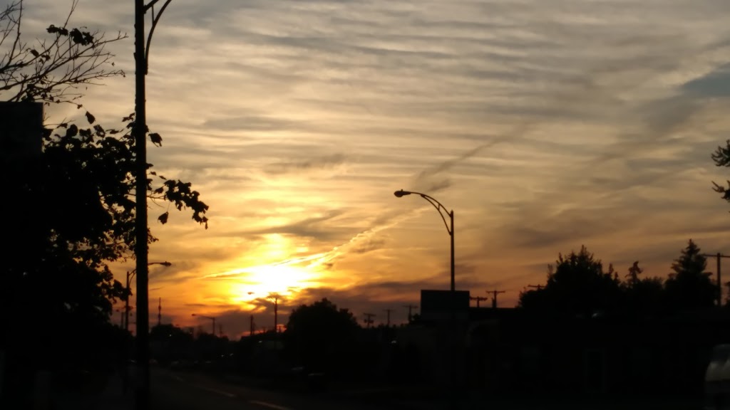 BUFFALO TRANSPORTATION INC | 289 Ramsdell Ave, Buffalo, NY 14216, USA | Phone: (716) 877-5600