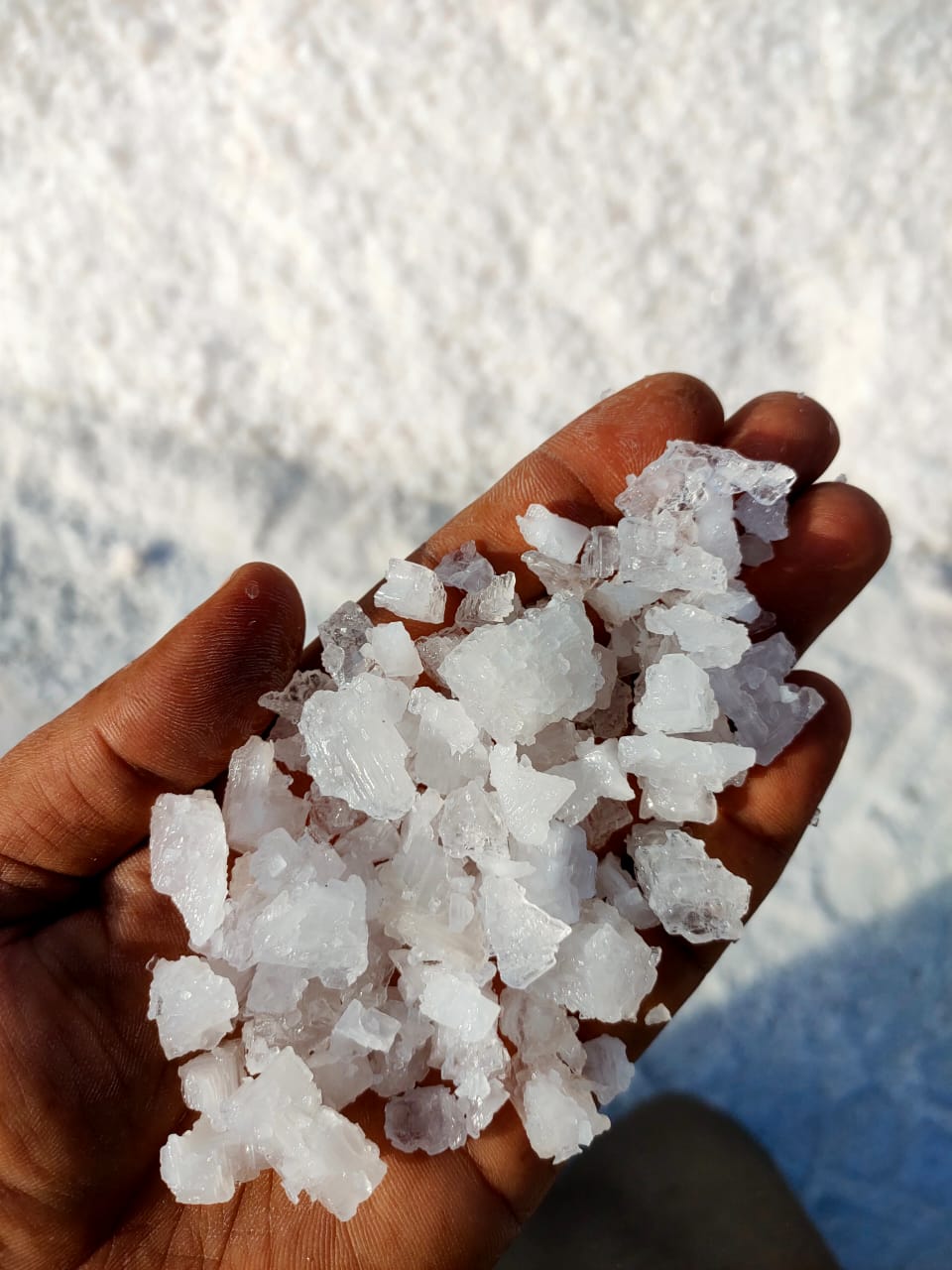 ATLANTIC OCEAN SALT INC. | 7566 Silver Creek Cresent, London, ON N6P 0G6, Canada | Phone: (226) 700-7597