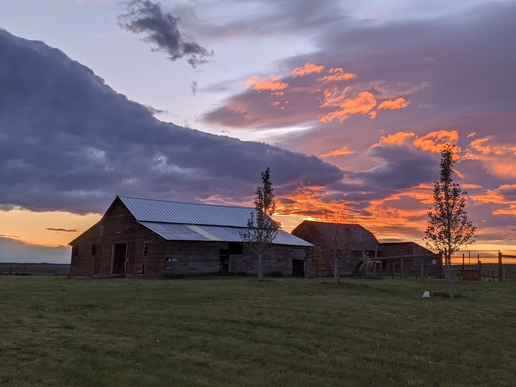 Twin Valley Farms Inc | Township Rd 154, Champion, AB T0L 0R0, Canada | Phone: (403) 897-3939