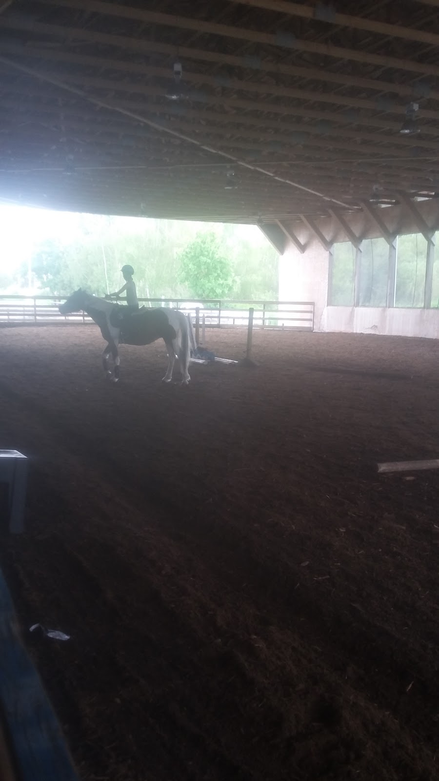 Maple Meadows Equestrian Centre | 13634 Harris Rd, Pitt Meadows, BC V3Y 2T3, Canada | Phone: (604) 816-1400