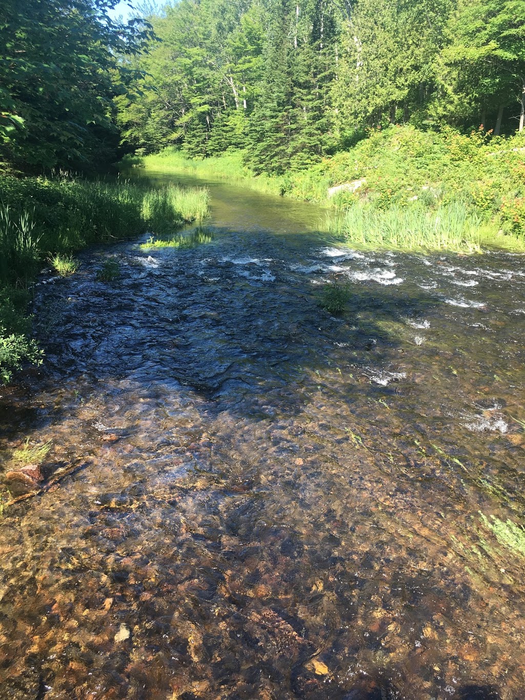 George Lake Main Beach | Killarney, ON P0M, Canada