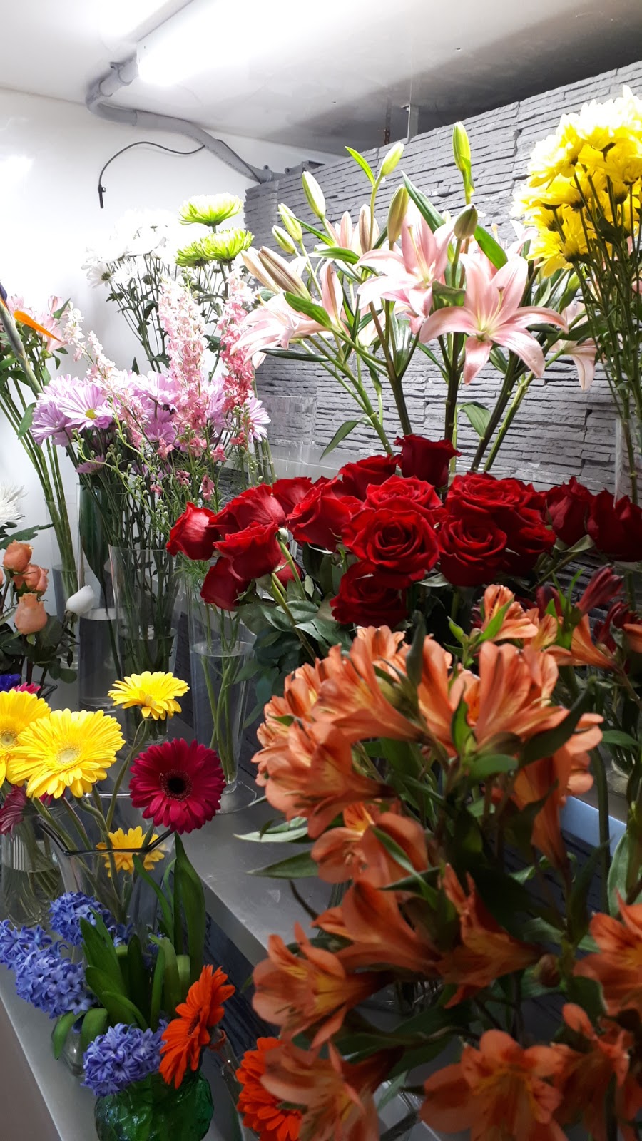 Fleuriste St-Anselme | 626 Route Bégin, Saint-Anselme, QC G0R 2N0, Canada | Phone: (418) 885-9611