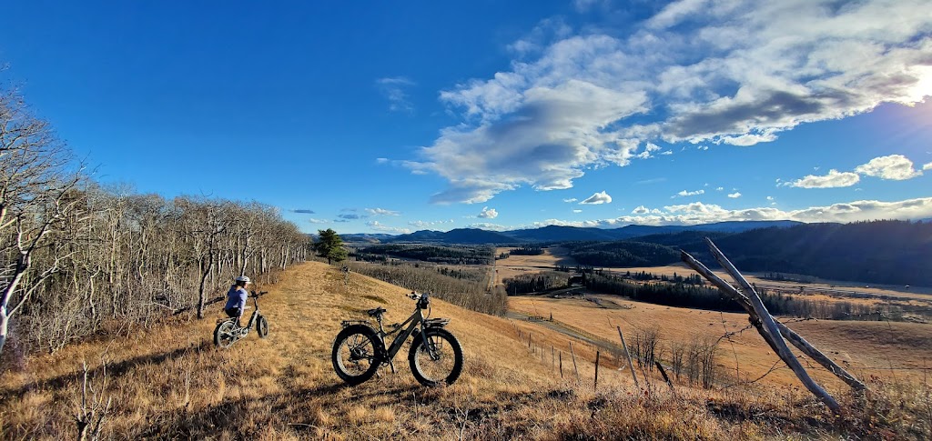 Tec & Rec Sundre Home of OutWest E-Bikes | 708 Main Ave W, Sundre, AB T0M 1X0, Canada | Phone: (403) 638-1925