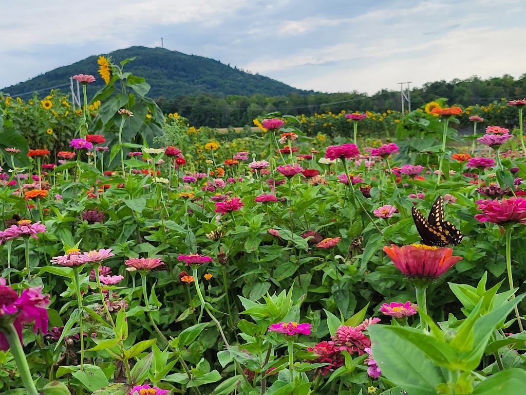 Potager Astral | 367 Rang de Fort-Georges, Sainte-Angèle-de-Monnoir, QC J0L 1P0, Canada | Phone: (514) 662-7814