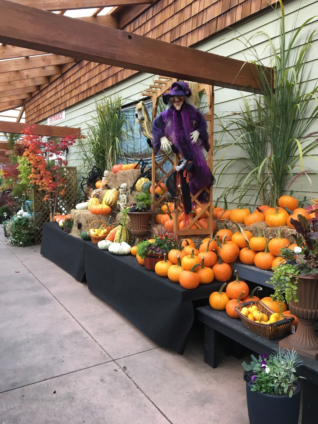 B&K Garden & Landscape Supply | 629 Pratt Rd, Gibsons, BC V0N 1V4, Canada | Phone: (604) 886-0924