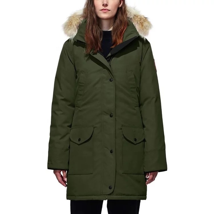 D&G - Dragon and Gorilla | 1755 Boul Henri-Bourassa E, Montréal, QC H2C 1C7, Canada | Phone: (438) 227-4774