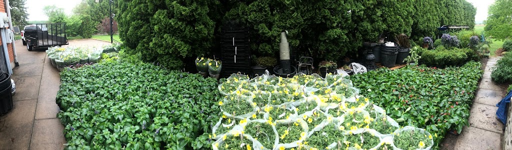 Emily Cooper Gardening | 1972 King St, St. Catharines, ON L2R 6P7, Canada | Phone: (905) 685-6896