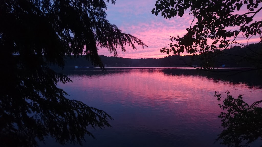Gilmour Bay Marina | 85 Renwick Rd, Apsley, ON K0L 1A0, Canada | Phone: (705) 656-3392