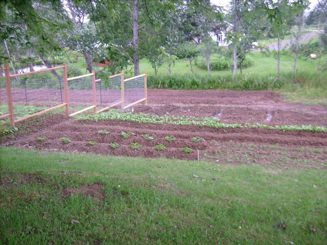 Rainbow Seeds | 5763 King St, Riverside-Albert, NB E4H 4A7, Canada | Phone: (506) 882-9101