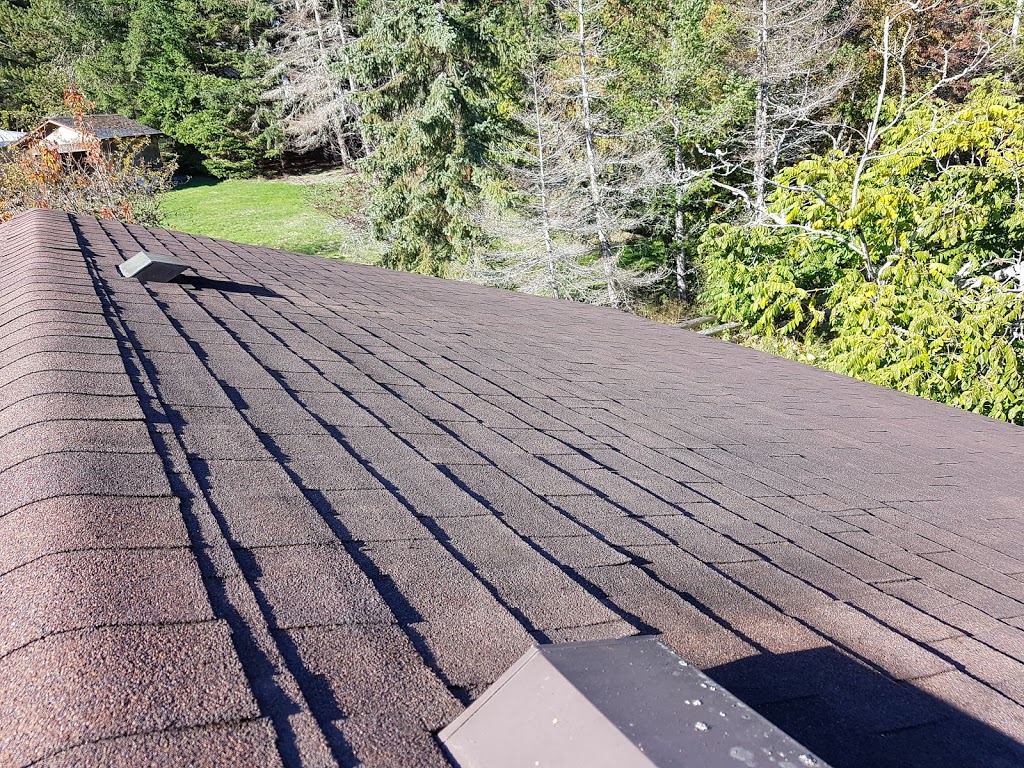Vancouver Moss Removal | 105-1615 Frances St, Vancouver, BC V5L 1Z3, Canada | Phone: (604) 359-9468