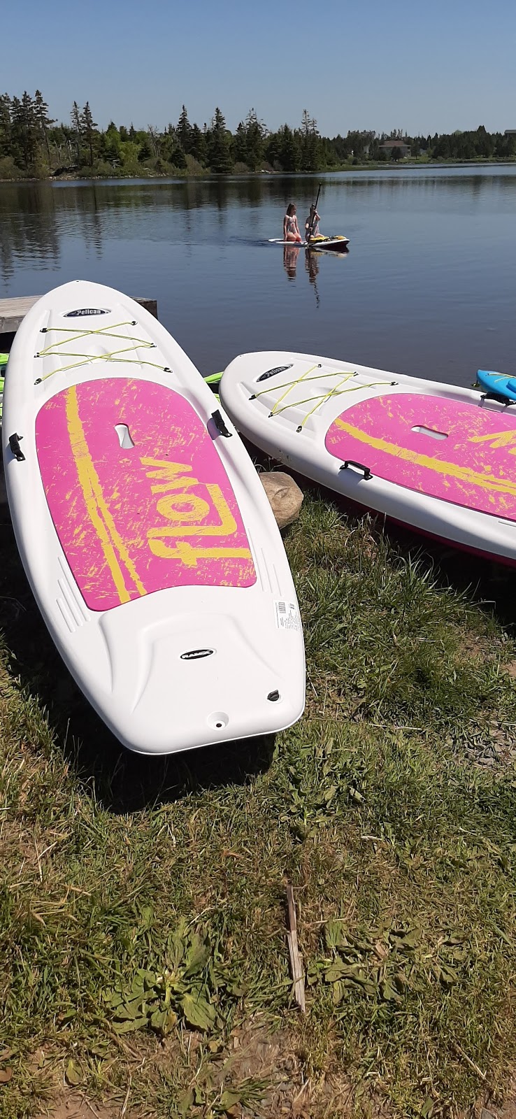 By The Bay Kayak Rentals | 1296 Cow Bay Rd, Cow Bay, NS B3G 1L4, Canada | Phone: (902) 221-4598