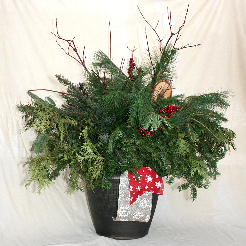 Prosperity Acres | 2666 Harmony Rd, Belleville, ON K8N 4Z6, Canada | Phone: (613) 477-1908