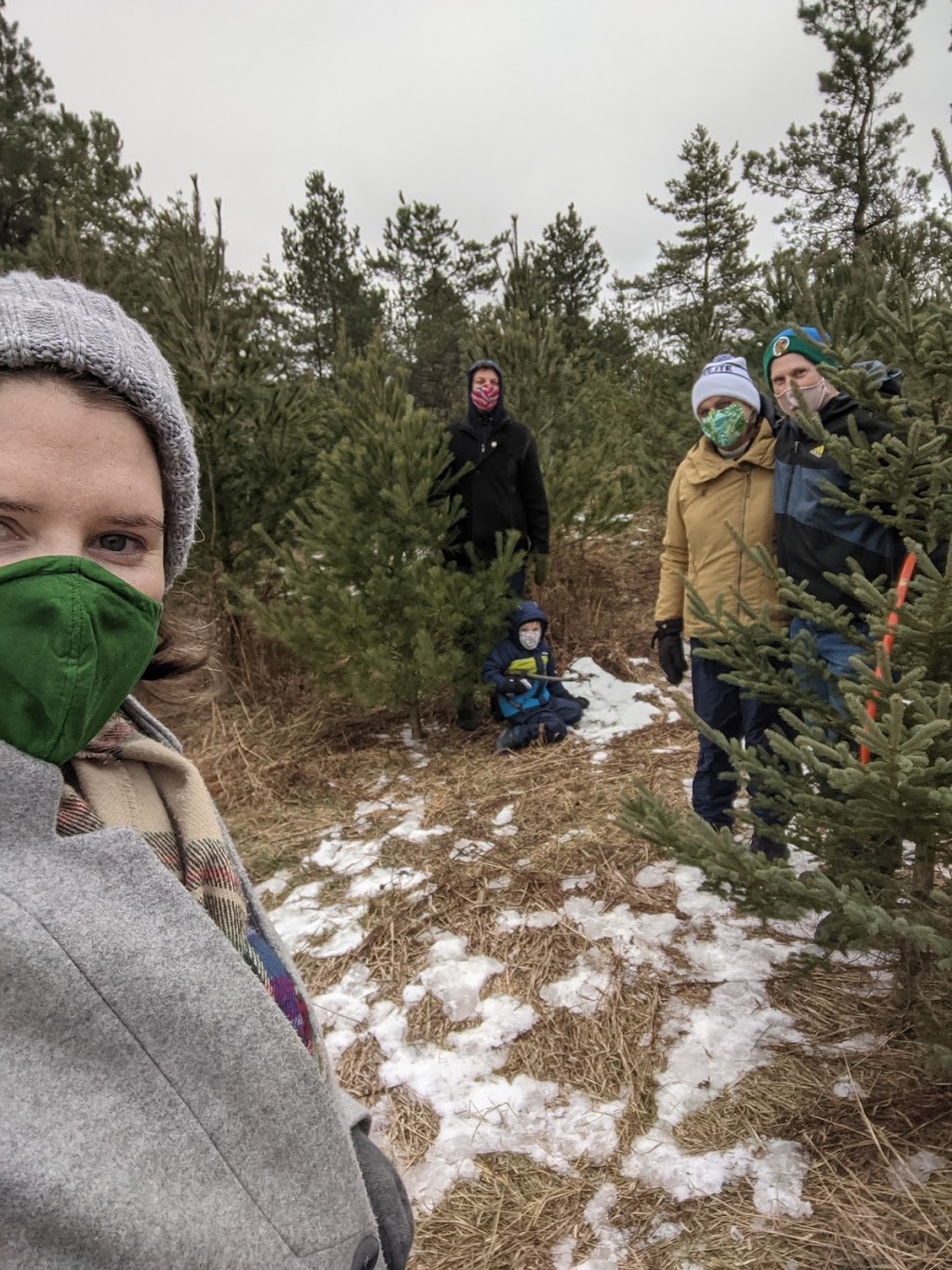 Forestells Christmas Trees | 4556 Sideroad 20 N, Puslinch, ON N0B 2J0, Canada | Phone: (519) 831-1942