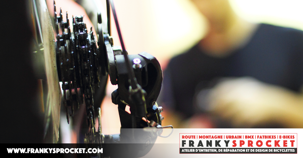 Franky Sprocket | 131 Croissant du Belvédère, Saint-Alphonse-Rodriguez, QC J0K 1W0, Canada | Phone: (514) 609-5570