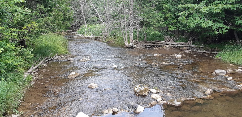 Noisy River Provincial Park | Creemore, ON L0M 1G0, Canada | Phone: (705) 429-2516