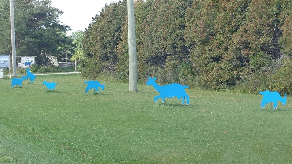 Rivers Edge Goat Dairy | 8102 Wellington County Rd 109, Arthur, ON N0G 1A0, Canada | Phone: (519) 848-2203